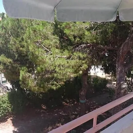 Falesia - Near The - The Gavel *