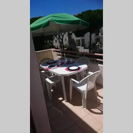 Falesia - Near The - The Gavel